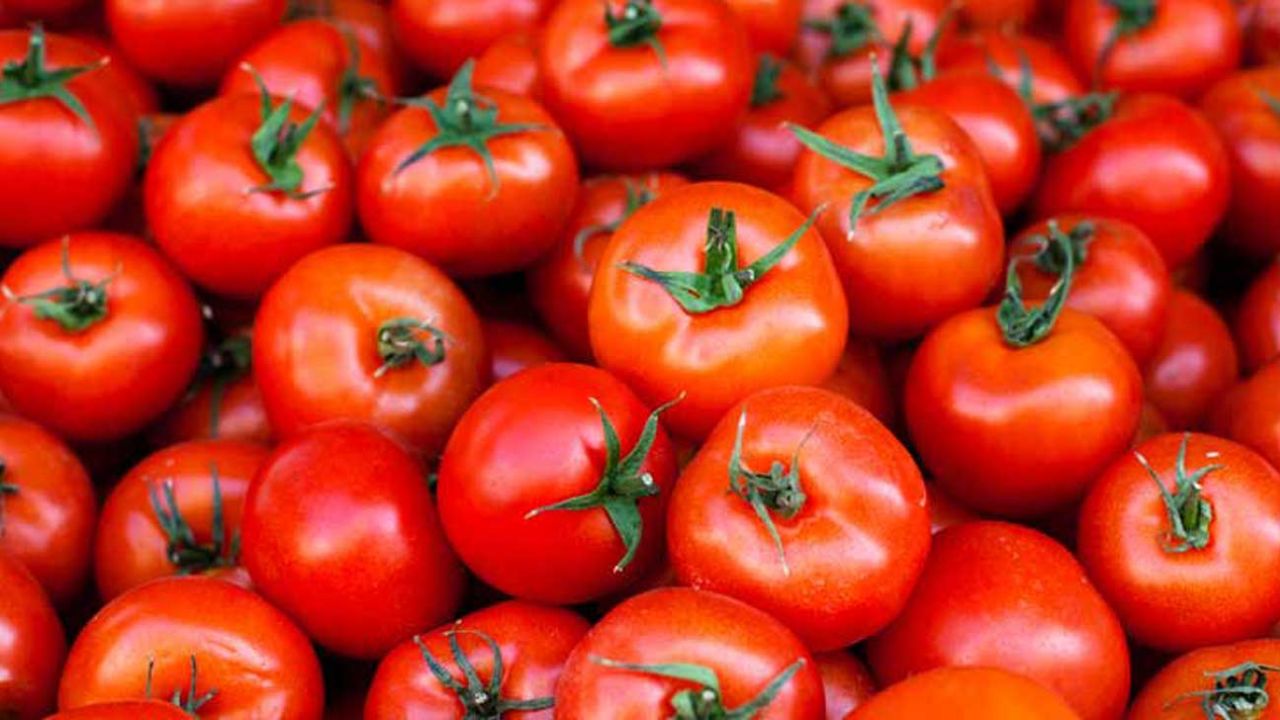 Molho de tomate caseiro delicioso e fácil de fazer!